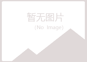 平桥区惜霜会计有限公司